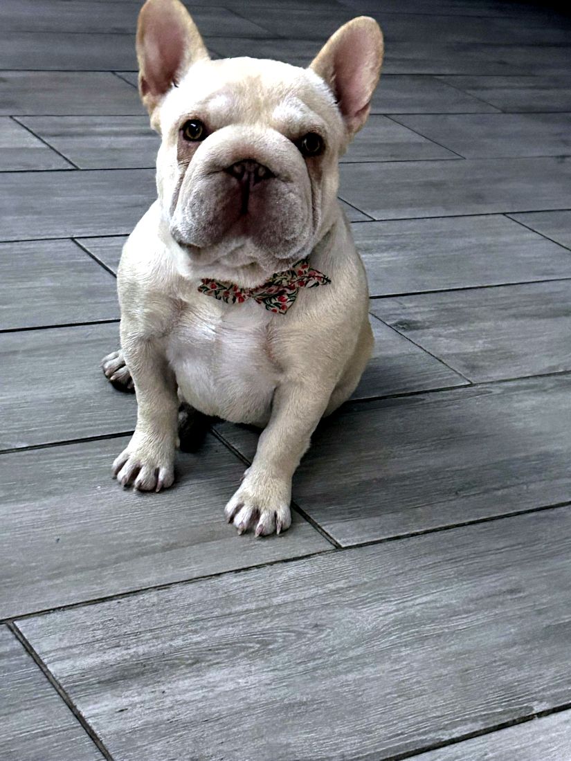Lola